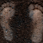 an image of feet imprinted in the earth to represent the benefits of grounding