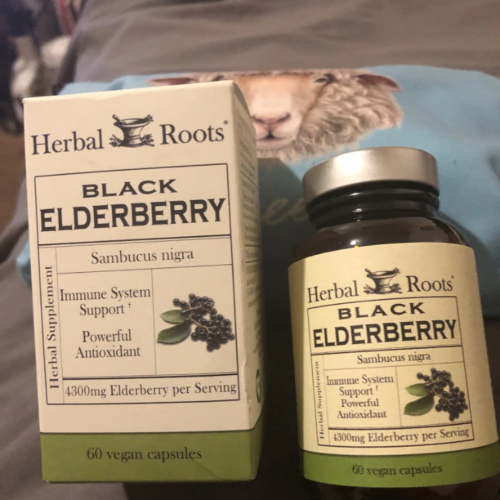 Immune System Boosting Black Elder Berry in a Bottle by Herbal Roots